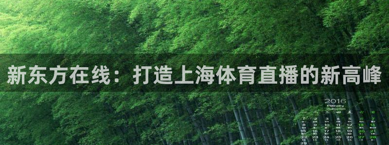 新闻图片