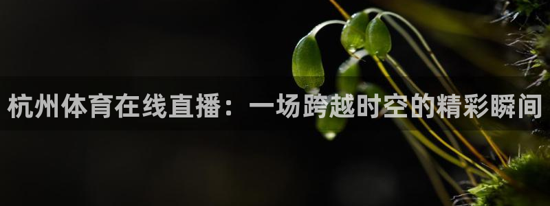 杭州体育在线直播：一场跨越时空的精彩瞬间