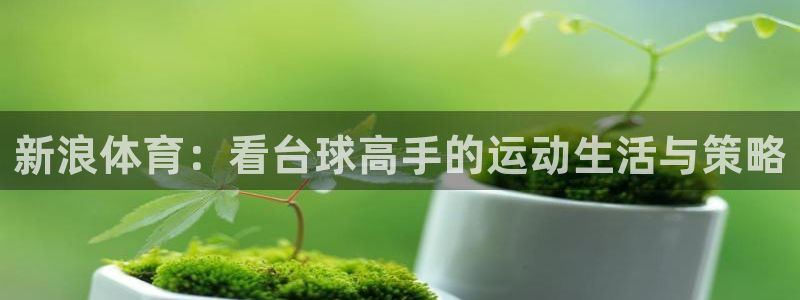 新浪体育：看台球高手的运动生活与策略