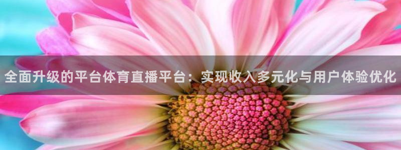 全面升级的平台体育直播平台：实现收入多元化与用户体验优化